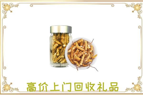 榆林市周边回收虫草